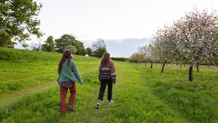 Two visitors walking by blossoming orchard trees.